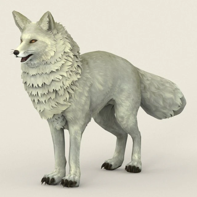 game ready white fox 3D Model .c4d .max .obj .3ds .fbx .stl .blend