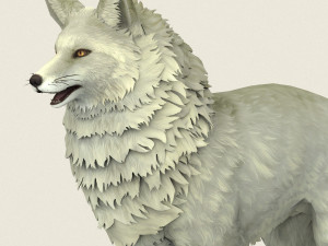 game ready white fox Modelo 3D