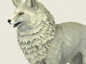 game ready white fox 3D Model