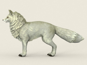 game ready white fox Modelo 3D