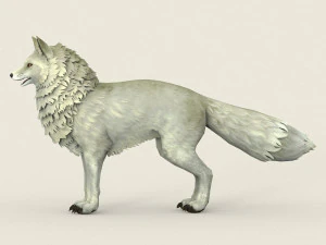game ready white fox 3D Model