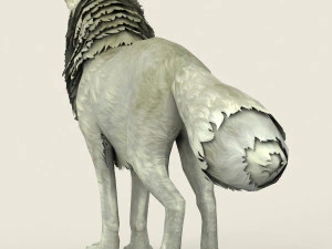 game ready white fox 3D Model