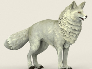 game ready white fox Modelo 3D