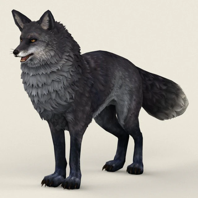 lis Model 3D .c4d .max .obj .3ds .fbx .stl .blend 