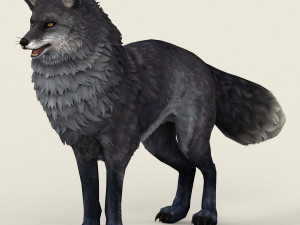 fox 3D Model