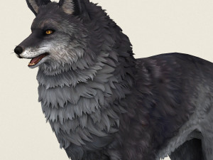 fox 3D-Modell