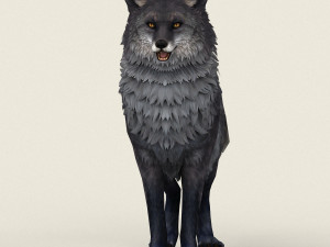 fox 3D-Modell