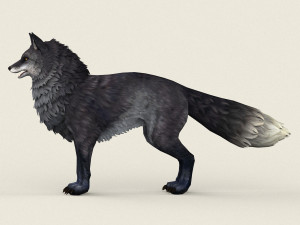 fox 3D-Modell