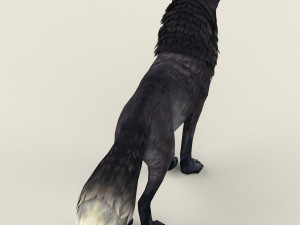 fox 3D-Modell