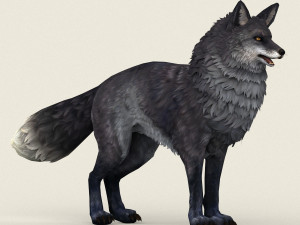 fox 3D-Modell