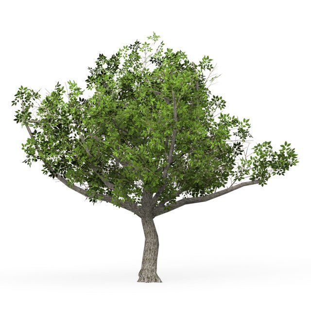 Game Ready Tree 02 3D मॉडल .c4d .max .obj .3ds .fbx .stl .blend 
