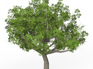Gioco pronto Albero 02 Modello 3D