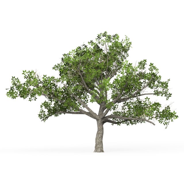 Game Ready Tree 03 3D 模型 .c4d .max .obj .3ds .fbx .stl .blend 