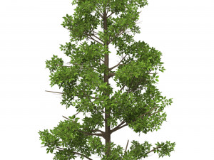 Game Ready Tree 05 Modèle 3D