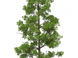 게임 레디 트리 05 3D 모델