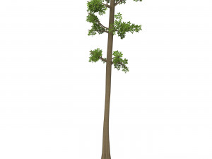 Game Ready Tree 05 Modèle 3D