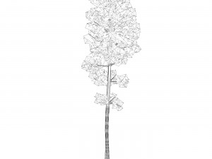 Game Ready Tree 05 Modèle 3D