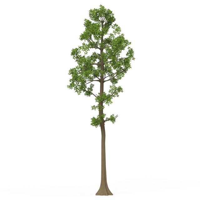 Game Ready Tree 06 3D 模型 .c4d .max .obj .3ds .fbx .stl .blend 