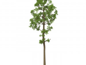Game Ready Tree 06 3D मॉडल