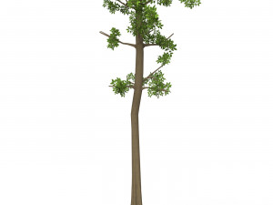 Game Ready Tree 06 3D 模型