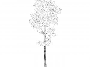 Game Ready Tree 06 3D 模型
