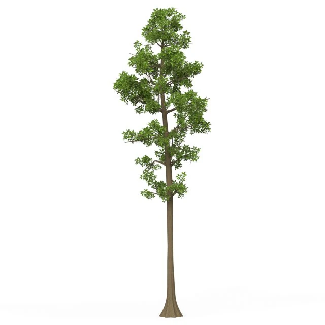 Game Ready Tree 07 3D Model .c4d .max .obj .3ds .fbx .stl .blend 