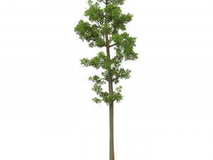 Game Ready Tree 07 3D मॉडल