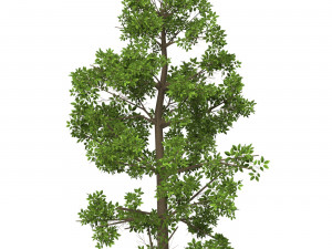 Game Ready Tree 07 Modelo 3D