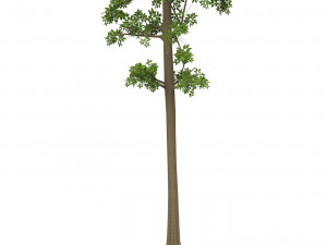 Game Ready Tree 07 Modelo 3D