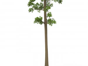 Game Ready Tree 07 3D Model