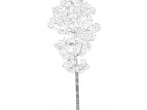Game Ready Tree 07 3D Model