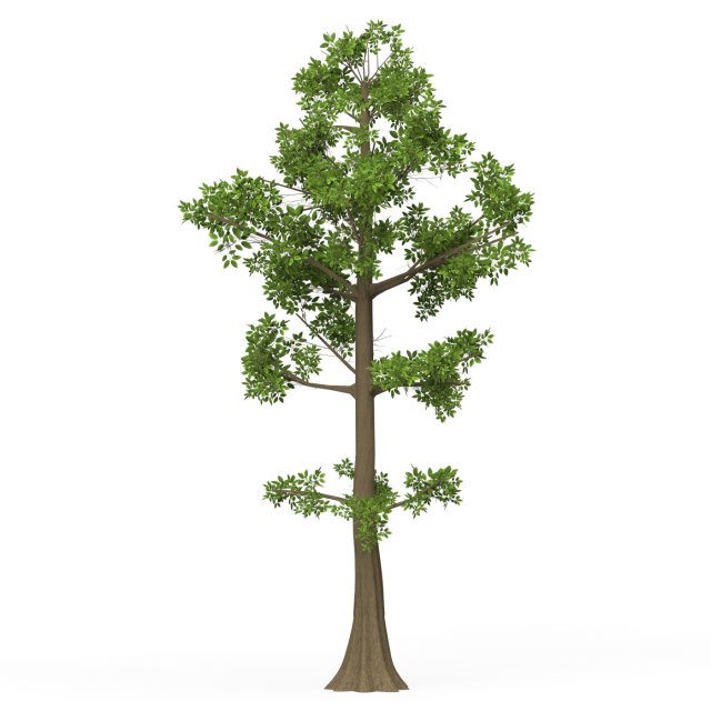 Game Ready Tree 08 3D मॉडल .c4d .max .obj .3ds .fbx .stl .blend 