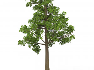 Game Ready Tree 09 Modelo 3D
