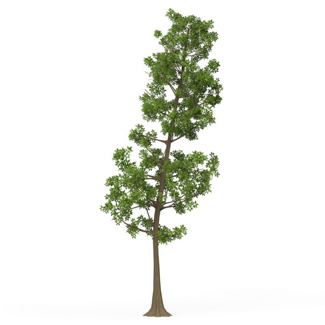 Game Ready Tree 10 3D Модель .c4d .max .obj .3ds .fbx .stl .blend
