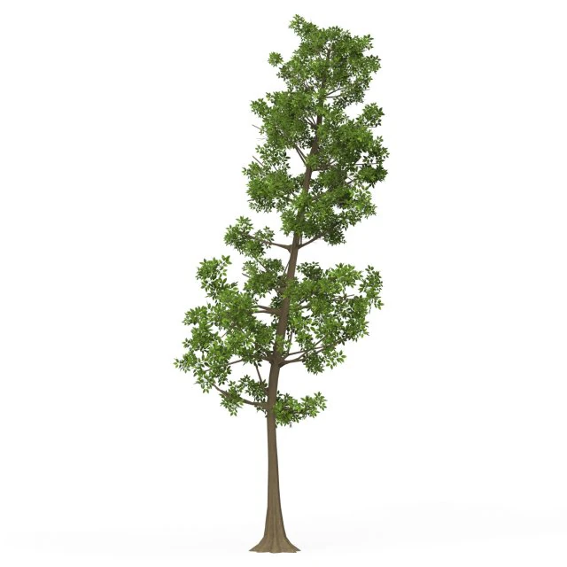 Game Ready Tree 10 3D Model .c4d .max .obj .3ds .fbx .stl .blend 