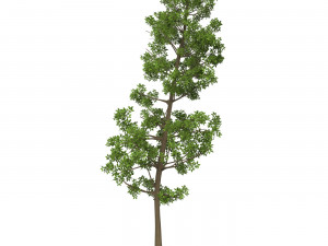 Game Ready Tree 10 3D मॉडल
