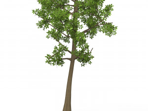 Game Ready Tree 10 3D Модель
