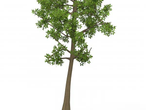Game Ready Tree 10 3D Model