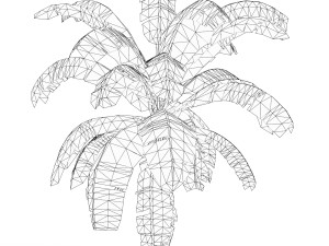 Banana Tree 01 3D Model