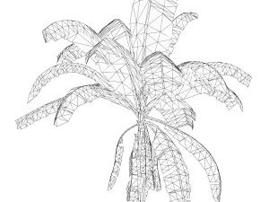 Banana Tree 02 3D Model