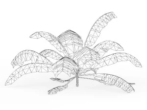 Banana Tree 04 3D Model