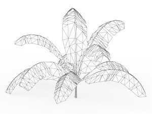 Banana Tree 05 3D Model