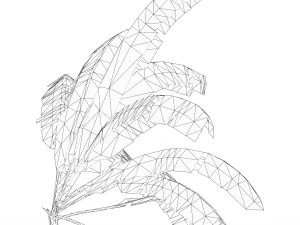 Banana Tree 06 3D Model