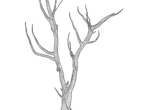 Cartoon Tree Trunk 06 3D Model