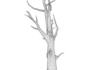 Cartoon Tree Trunk 07 3D Model