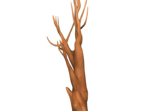 Cartoon Tree Trunk 08 3D Model
