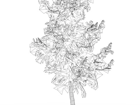 Low Poly Oak Tree 04 3D Model