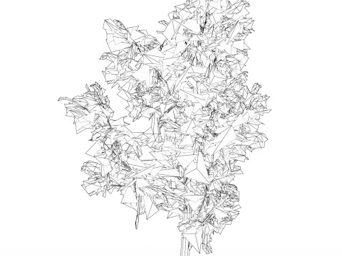 Low Poly Oak Tree 05 Modello 3D