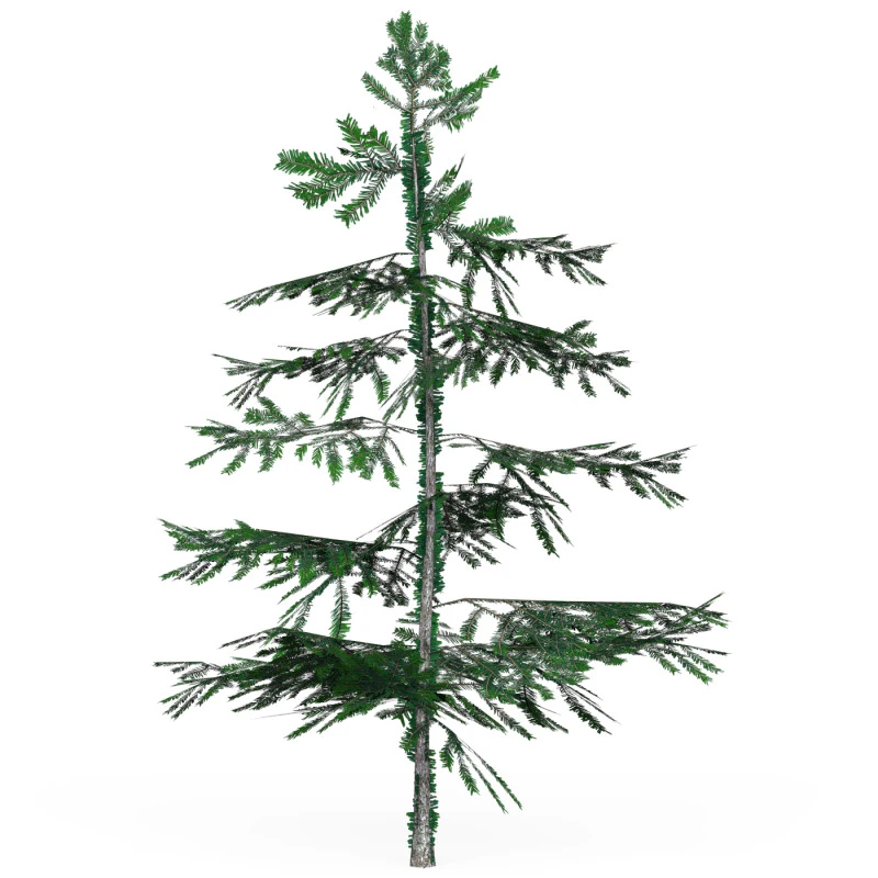Low Poly Pine Tree 01 3D Model .c4d .max .obj .3ds .fbx .stl .blend 