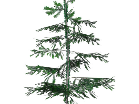Low Poly Pine Tree 01 3D Model